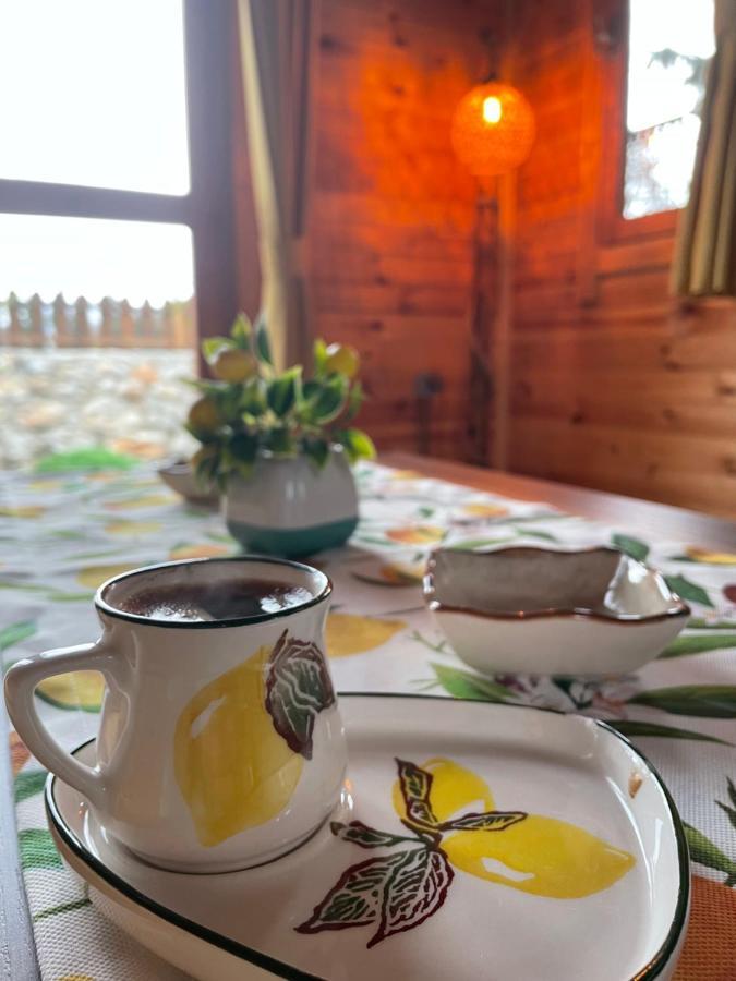 Andızaltı Doğa Evleri Limon Ev Datça Villa Dış mekan fotoğraf